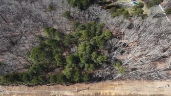 Nc 86 , Hillsborough, NC 27278