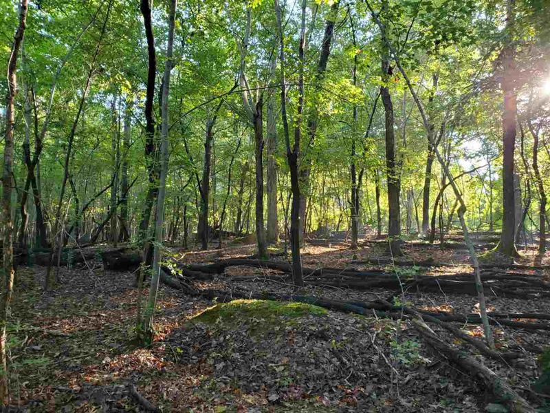 0 S Nc 86 Hw, Chapel Hill, NC 27514