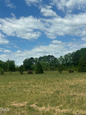 Nc 96  Lot 1, Youngsville, NC 27596