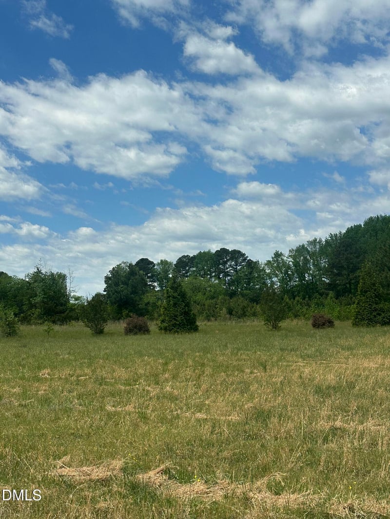 Nc 96 Lot 1, Youngsville, NC 27596