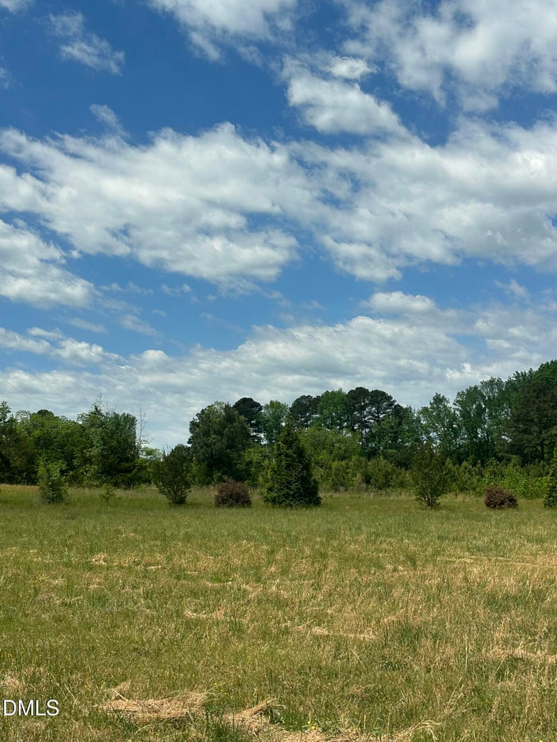 Nc 96 Lot 1, Youngsville, NC 27596