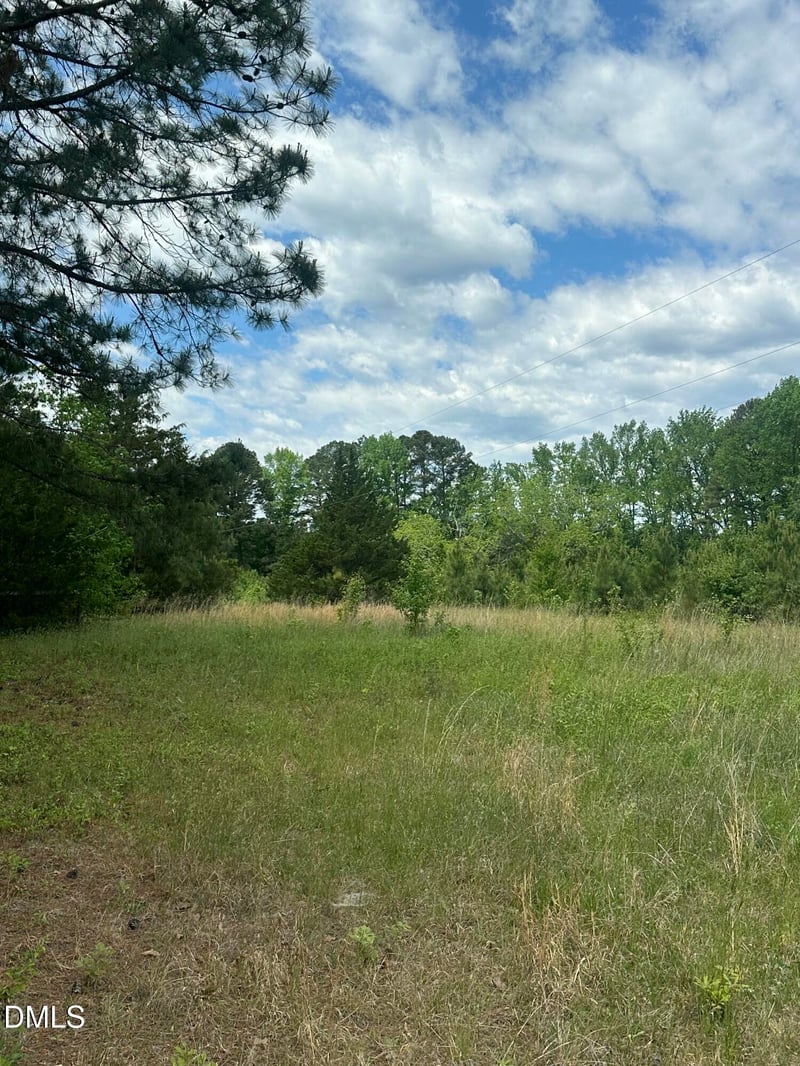 Nc 96 Lot 1, Youngsville, NC 27596