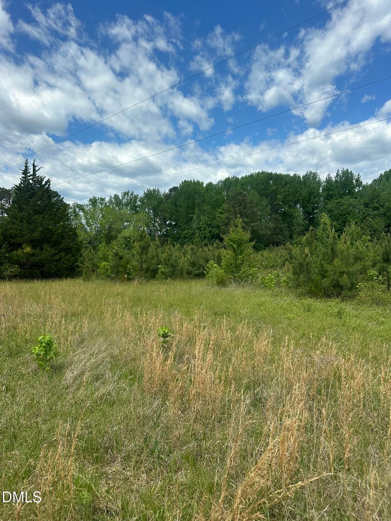 Nc 96 Lot 1, Youngsville, NC 27596