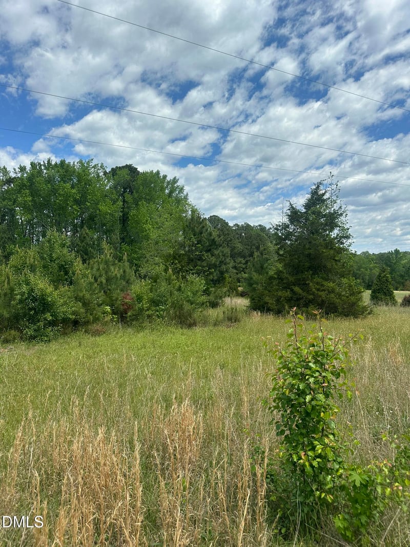 Nc 96 Lot 1, Youngsville, NC 27596