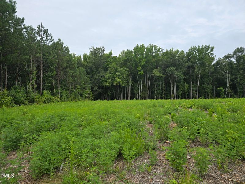 0 Nc Hwy 222 Lot 3, Middlesex, NC 27557