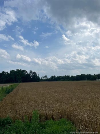 0 Nc Hwy 55, Dunn, NC 28334