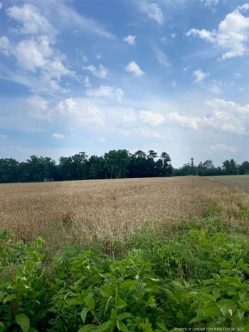0 Nc Hwy 55, Dunn, NC 28334