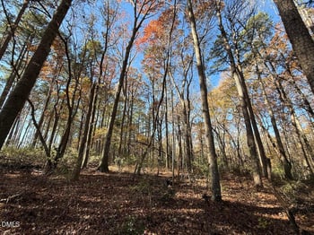 Nc Hwy 902, Pittsboro, NC 27312