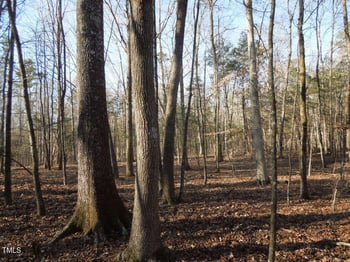 0 Noel Tuck Rd, Oxford, NC 27565