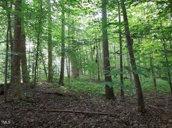 0 Noel Tuck Rd, Oxford, NC 27565