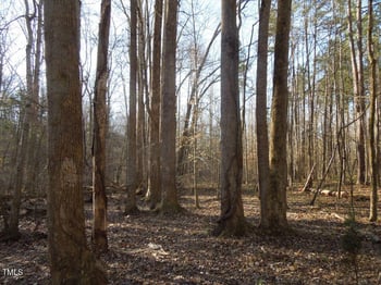 0 Noel Tuck Rd, Oxford, NC 27565