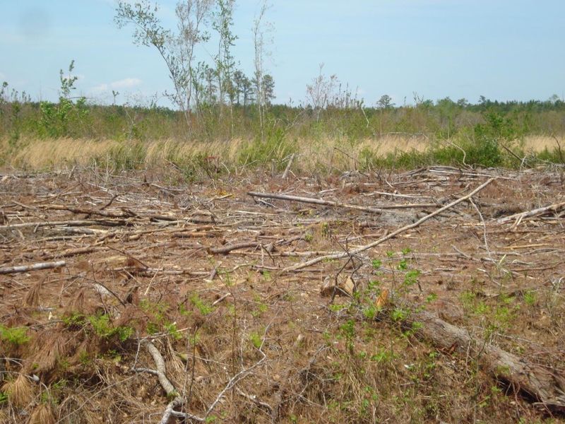 0 Obj Rd, Dunn, NC 28334