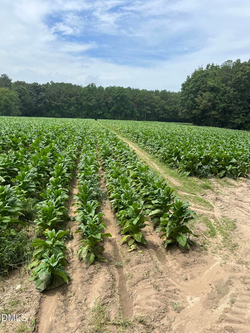 Off W Old Spring Hope Rd, Middlesex, NC 27557