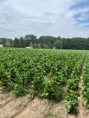 Off W Old Spring Hope Rd, Middlesex, NC 27557
