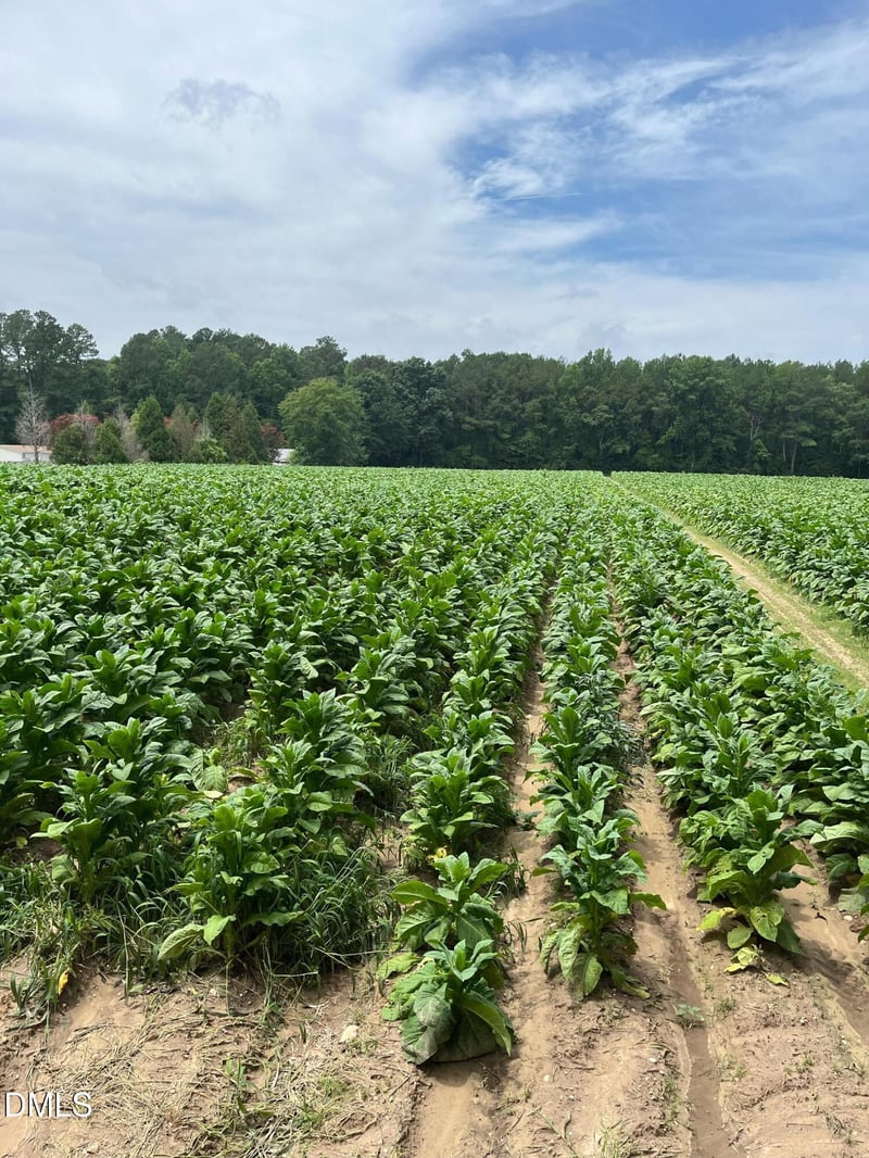 Off W Old Spring Hope Rd, Middlesex, NC 27557