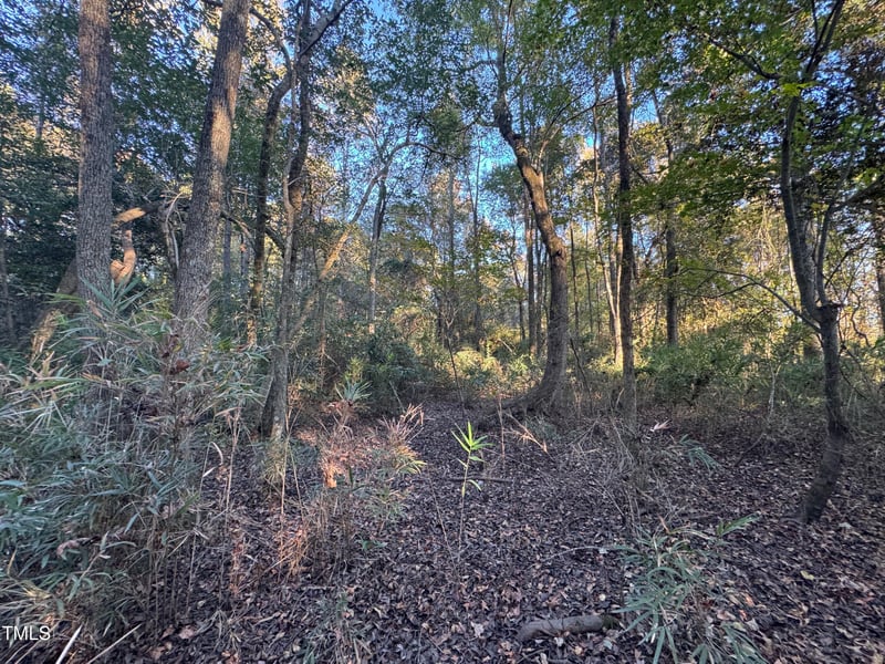 0 Old Creech Rd, Selma, NC 27576
