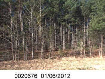 0 Old Creedmoor Rd Lot 5, Wake Forest, NC 27587