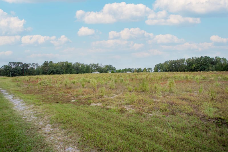 0 Old Eason Rd, Zebulon, NC 27597