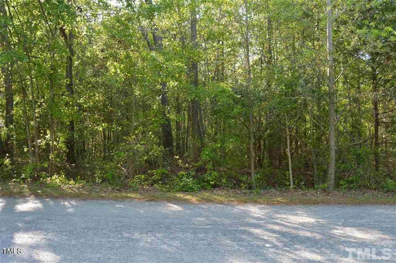 Old Stage Rd Lot 6, Erwin, NC 28334