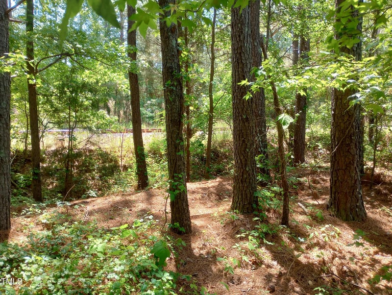 0 Old Us 1 Hw, New Hill, NC 27562