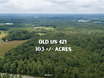 Old Us 421, Lillington, NC 27546