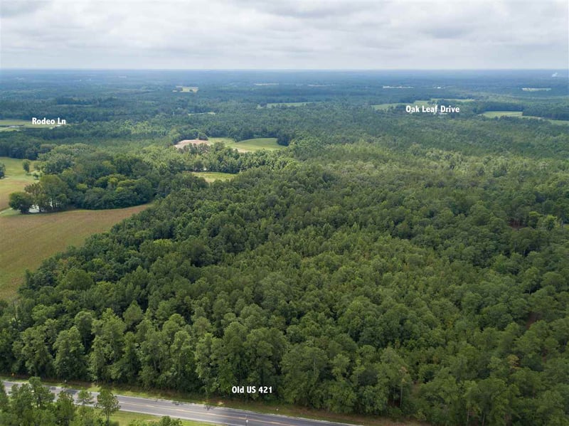 Old Us 421, Lillington, NC 27546