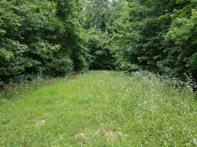 Old Zebulon Rd, Wendell, NC 27591