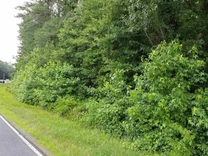 Old Zebulon Rd, Wendell, NC 27591