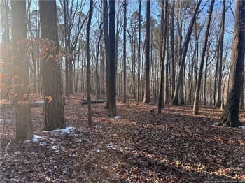 Oldham Lake Rd, Sanford, NC 27330