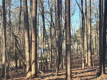 Oldham Lake Rd, Sanford, NC 27330