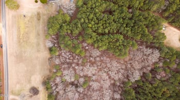 Osgood Rd Lot 2, Sanford, NC 27330