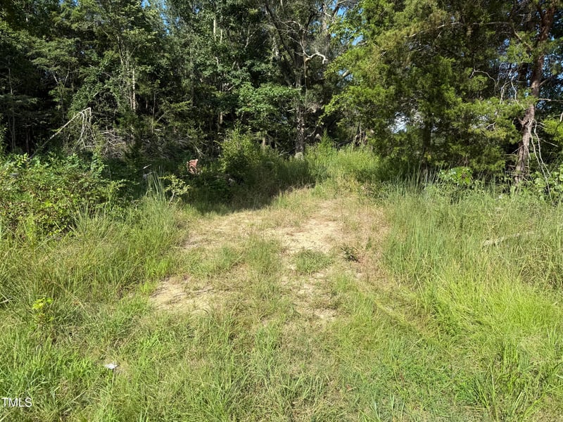 0 Pagetown Rd Lot #4, Burlington, NC 27217
