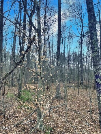 0 Parham Rd Lot F, Roxboro, NC 27574