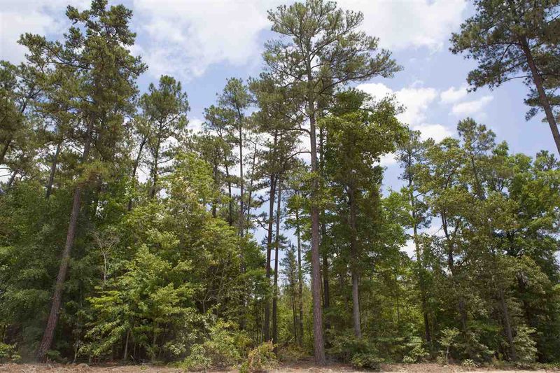 0 Partian Rd, New Hill, NC 27562