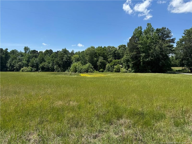 Pea Ridge Rd, New Hill, NC 27562