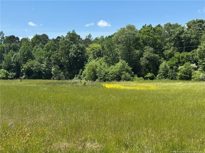Pea Ridge Rd, New Hill, NC 27562
