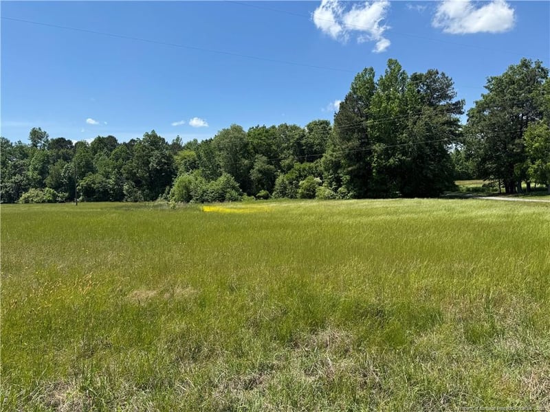 Pea Ridge Rd, New Hill, NC 27562
