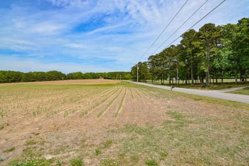 Peach Orchard Rd, Louisburg, NC 27549