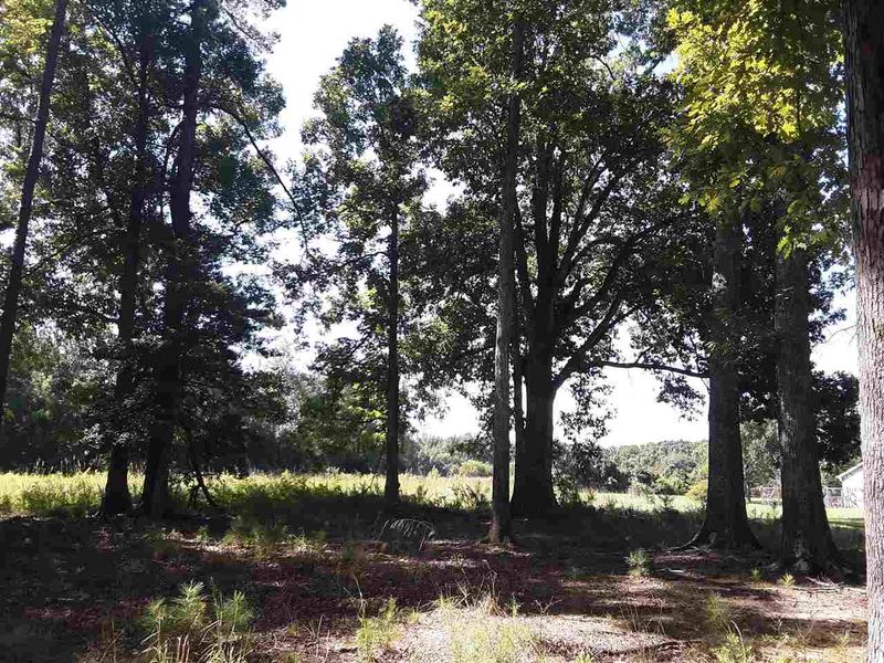 0 Perry Rd, Graham, NC 27253