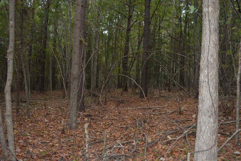 0 Pete Roberson Rd, Pittsboro, NC 27312