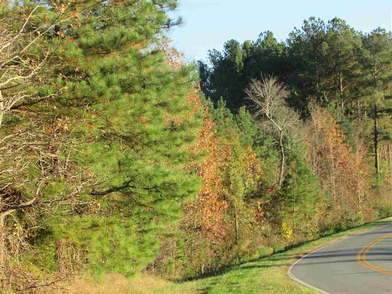0 Pete Thomas Rd Lot A, Pittsboro, NC 27312