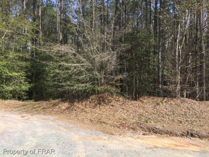0 Pickar Rd, Sanford, NC 27330