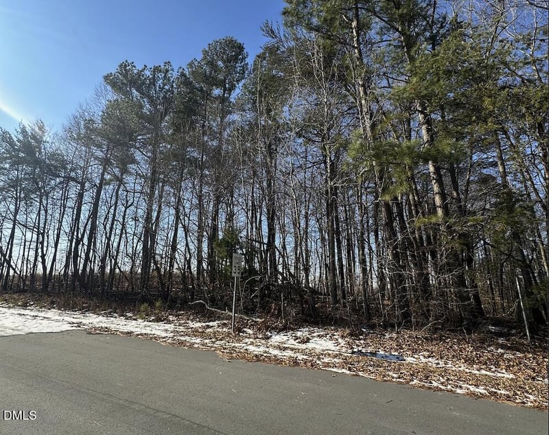 0 Pierce Denny Rd Lot n/a, Liberty, NC 27298