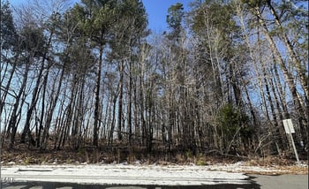 0 Pierce Denny Rd Lot n/a, Liberty, NC 27298