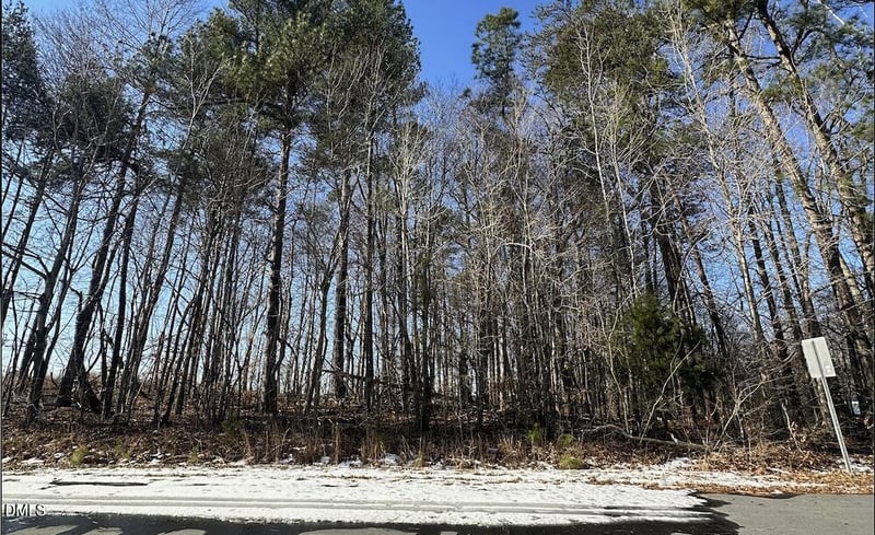 0 Pierce Denny Rd Lot n/a, Liberty, NC 27298