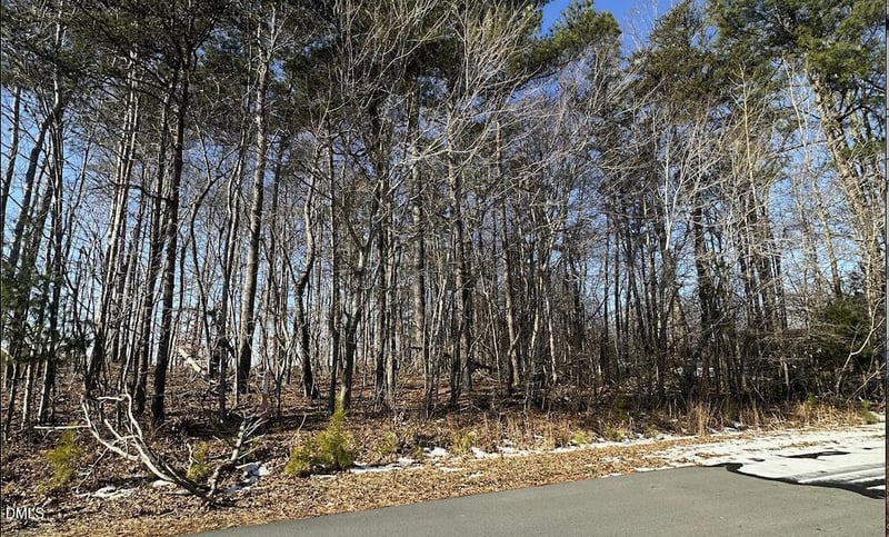 0 Pierce Denny Rd Lot n/a, Liberty, NC 27298