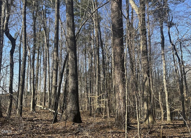 0 Pierce Denny Rd Lot n/a, Liberty, NC 27298