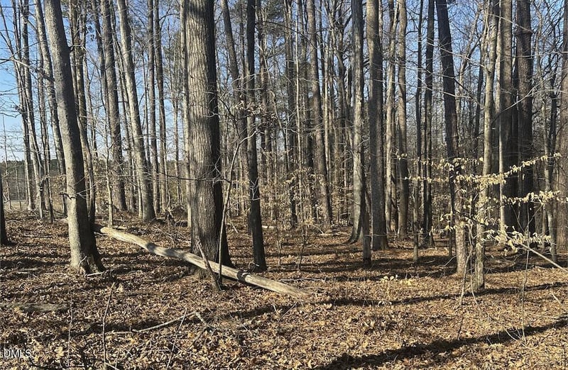 0 Pierce Denny Rd Lot n/a, Liberty, NC 27298
