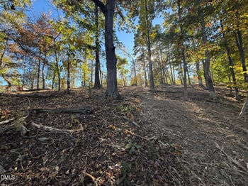 Pinesborough Estate Rd, Semora, NC 27343