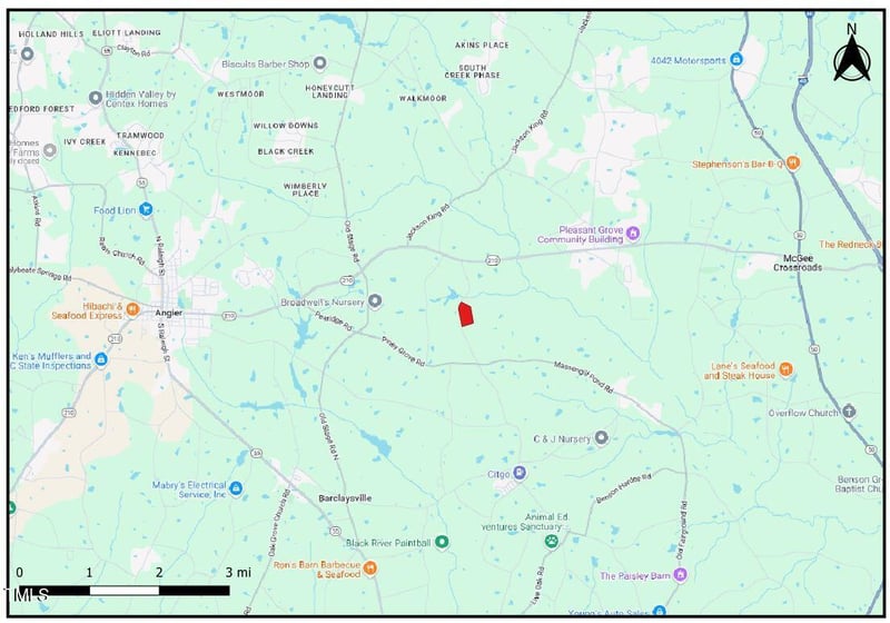 0 Plain View Church Rd, Angier, NC 27501